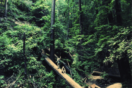 Din ultimate guide for å unngå uhell når du er ute og reiser