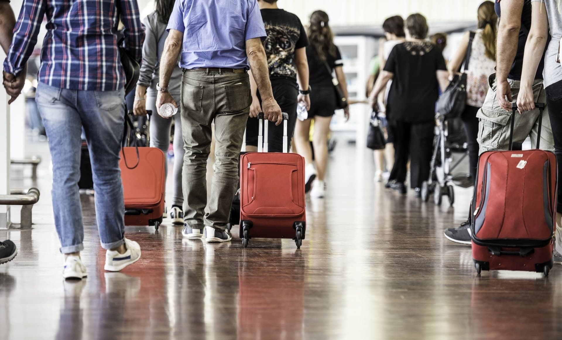 Spår flykaos i sommer