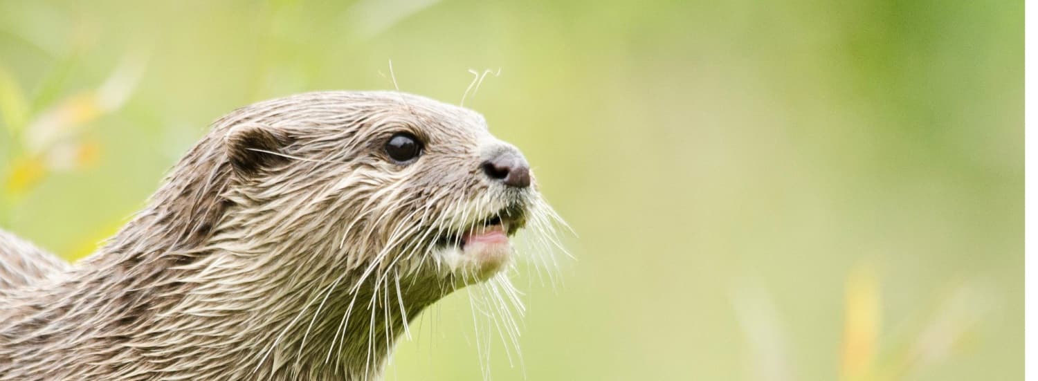 De 7 merkeligste grunnene for flyforsinkelse